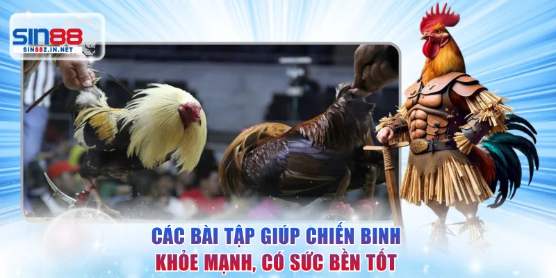 Các bài tập giúp chiến binh khỏe mạnh, có sức bền tốt