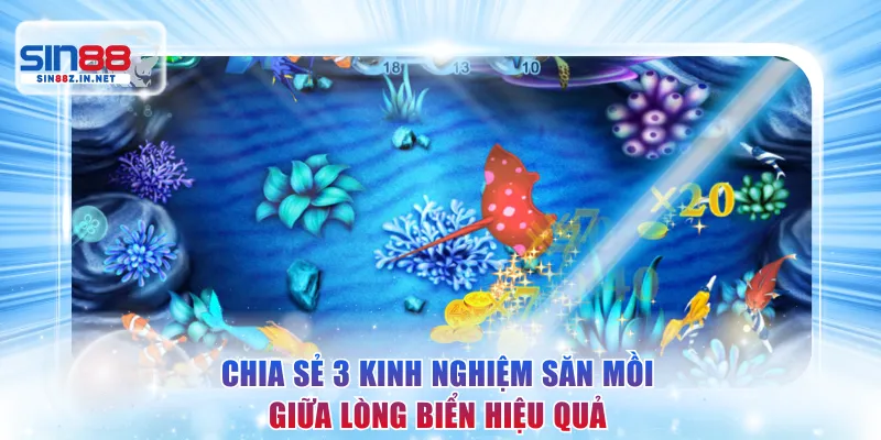 Chia sẻ 3 kinh nghiệm săn mồi giữa lòng biển hiệu quả