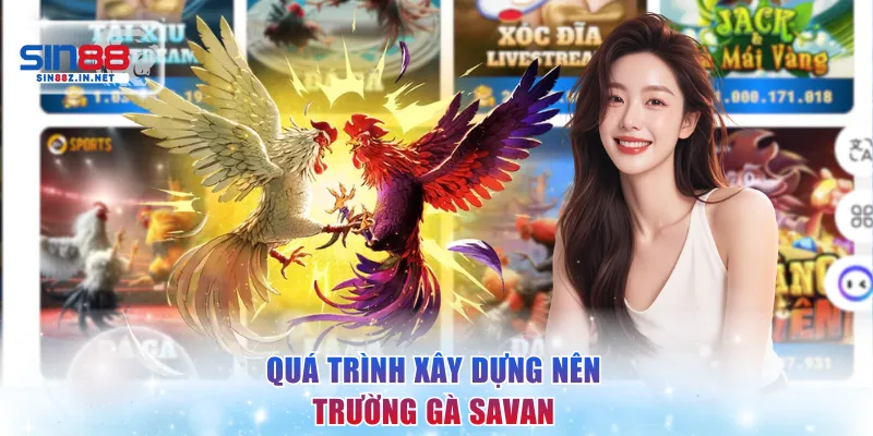 Quá trình xây dựng nên trường gà Savan