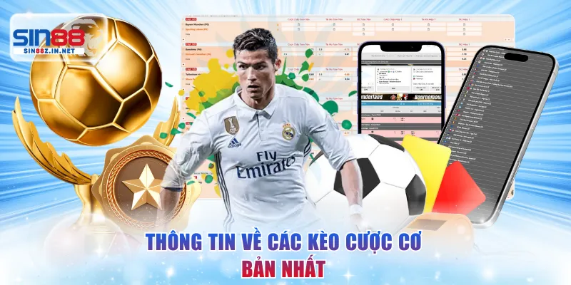 Thông tin về các kèo cược cơ bản nhất